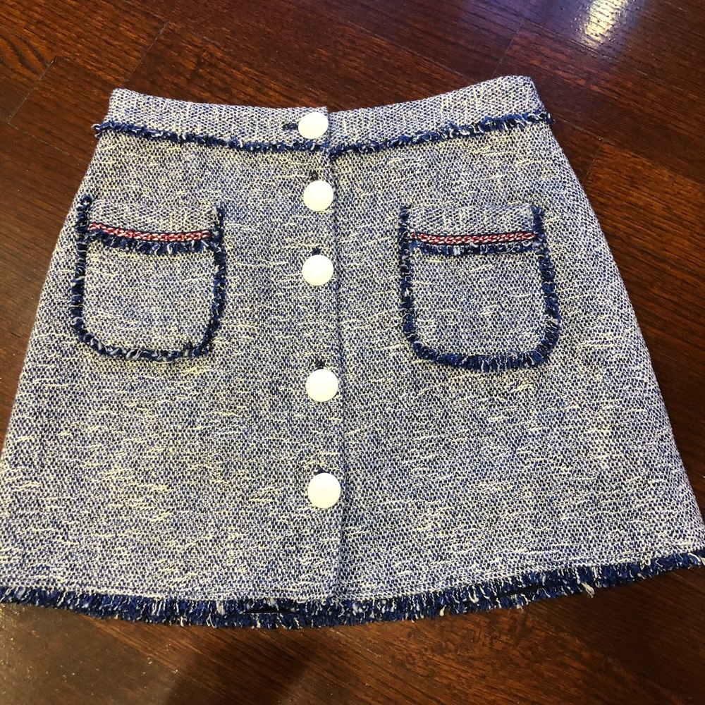 Brand new Zara a-line skirt with details
